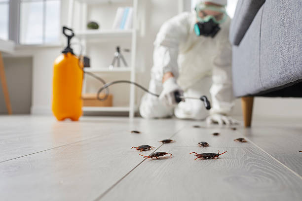 Commercial Kitchen Cockroach Control in Chapel Hill